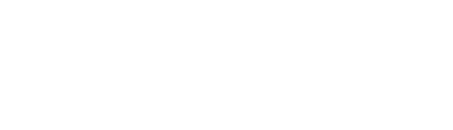 Rubrik logo